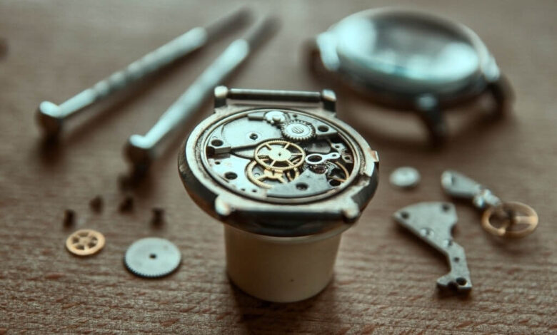 screwdriver the watch