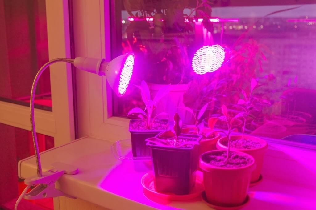 لامپ رشد گیاه چیست؟
