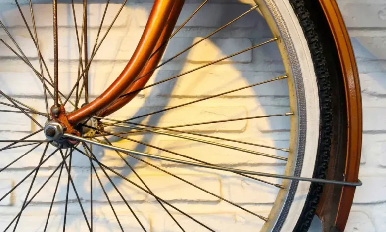 bicycle spoke wire cover