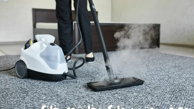 best steam cleaner