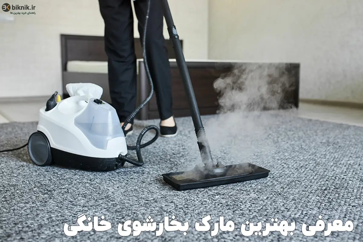 best steam cleaner